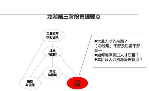 龙湖式精细化管理 从运营到文化的无声革命