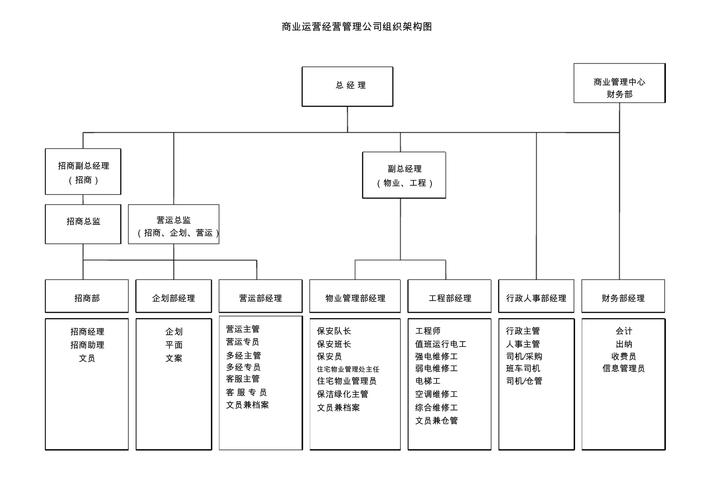 商业运营经营管理公司组织架构图
